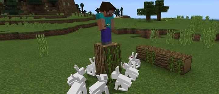 Поведение кроликов в minecraft