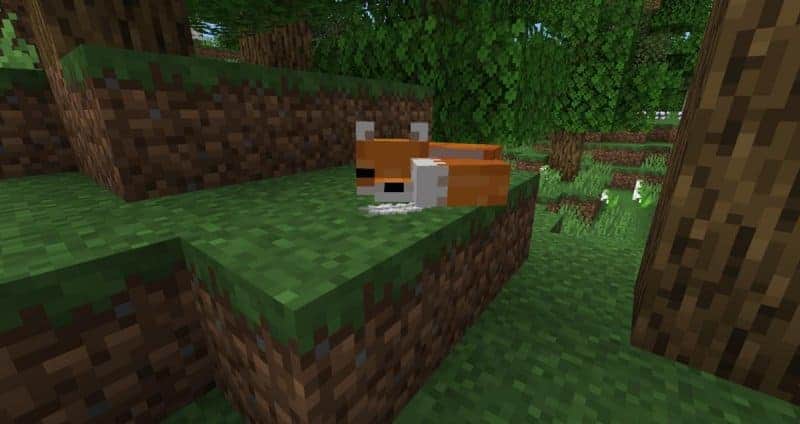Поиск лисицы в игре Minecraft