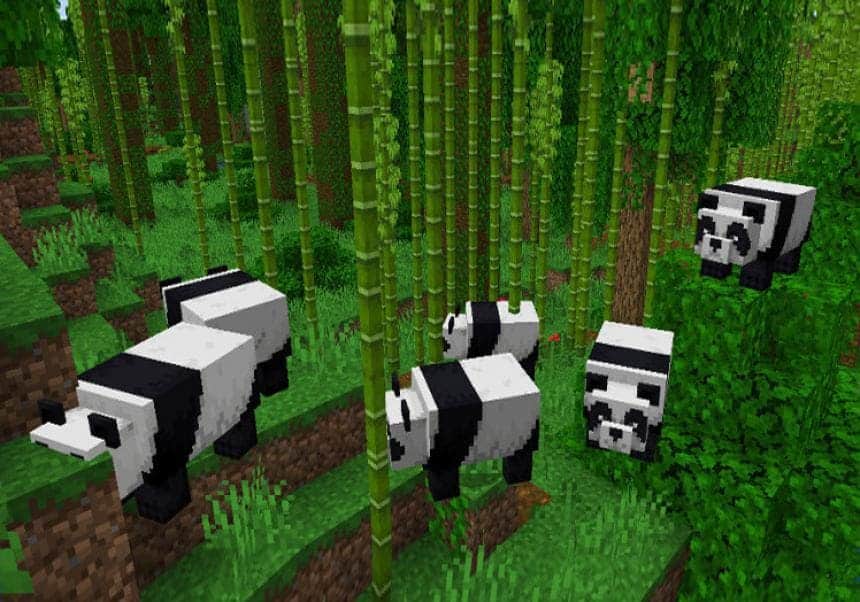 Панды спавнятся биом