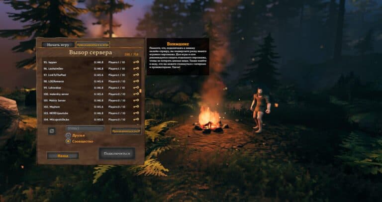 Сервер в игре Valheim