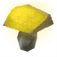 Желтый гриб Вальхейм