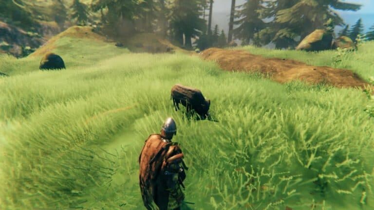 Кабаны Valheim: как приручить, чем кормить, как разводить