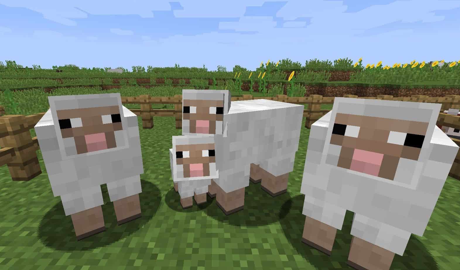 Овца в Майнкрафт гайд
