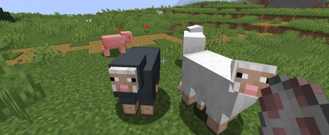 Овцы в игре Майнкрафт советы