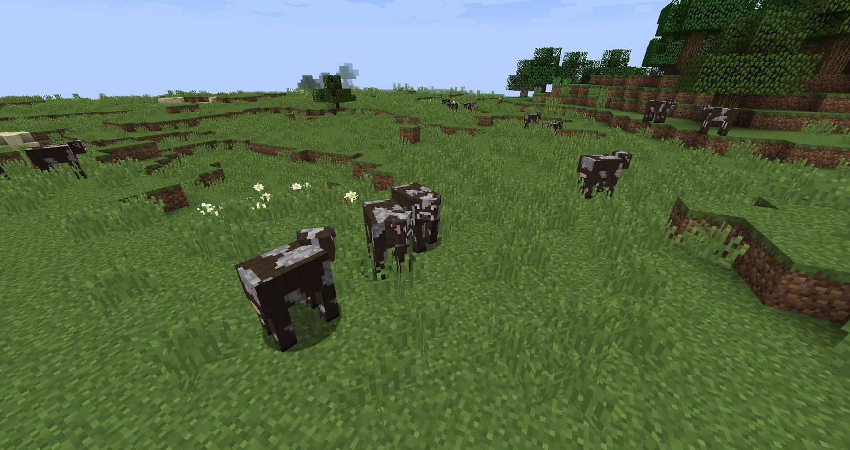 Как приручить корову в Майнкрафт